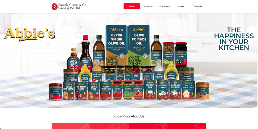 SKCO.IN website maintenance case study